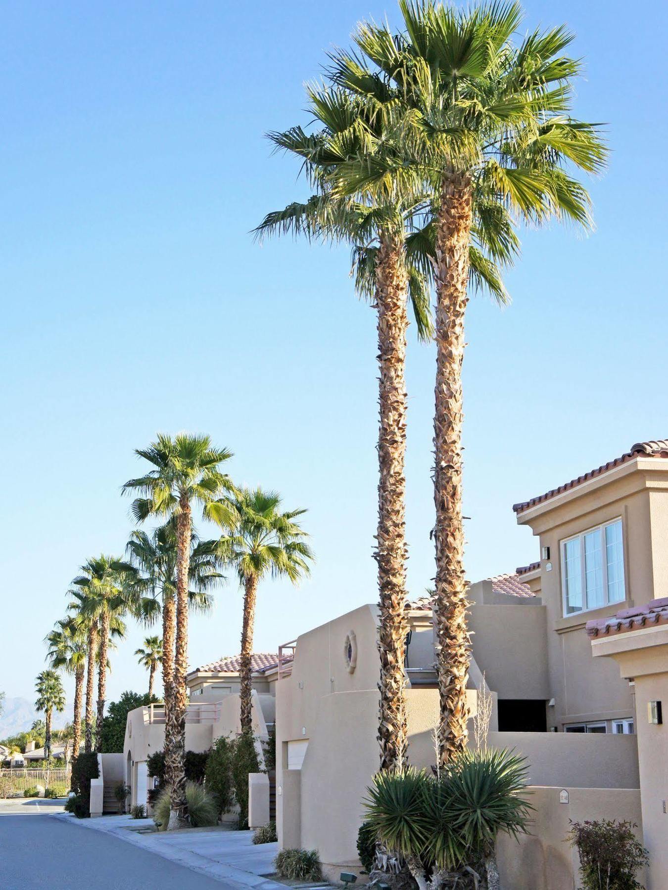 Raintree'S Cimarron Golf Resort Palm Springs Cathedral City Dış mekan fotoğraf